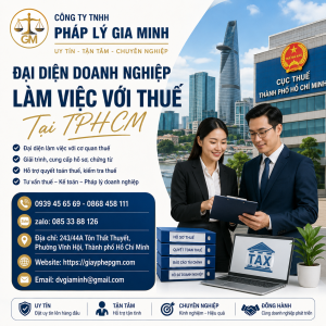 Đại Diện Doanh Nghiệp Làm Việc Với Thuế Tại TPHCM