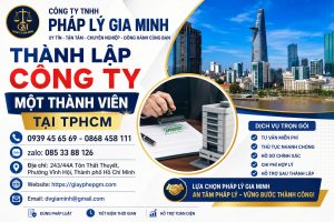 Thành Lập Công Ty Một Thành Viên Tại TPHCM